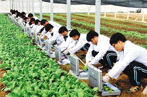 农大温情毕业礼 万斤水果赠学子，暖心与专业技能并重