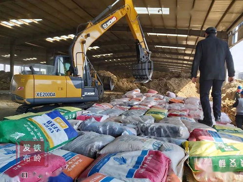 我市集中销毁8万斤假劣种子，强化农作物种子市场监管