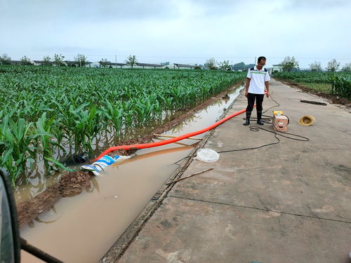 中国农业科学院作物科学研究所农作物种子经营 科技创新与产业服务