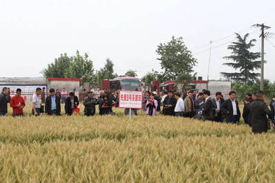 邓州市七家企业荣膺“农业产业化省重点龙头企业” 农作物种子经营引领产业升级